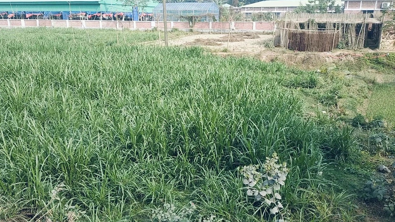 https://dailyamadermatribhumi.com/wp-content/uploads/2026/05/3-3.jpg